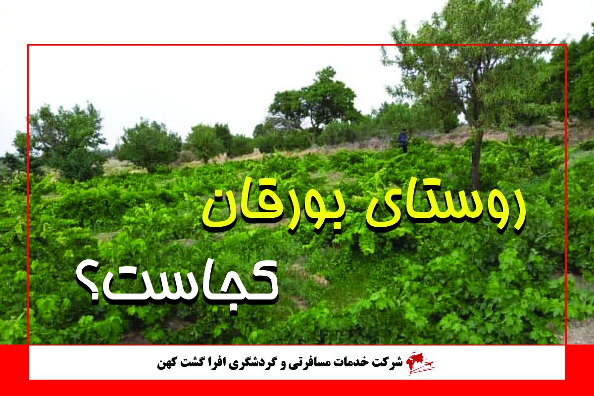 روستای بورقان روستای بورقان