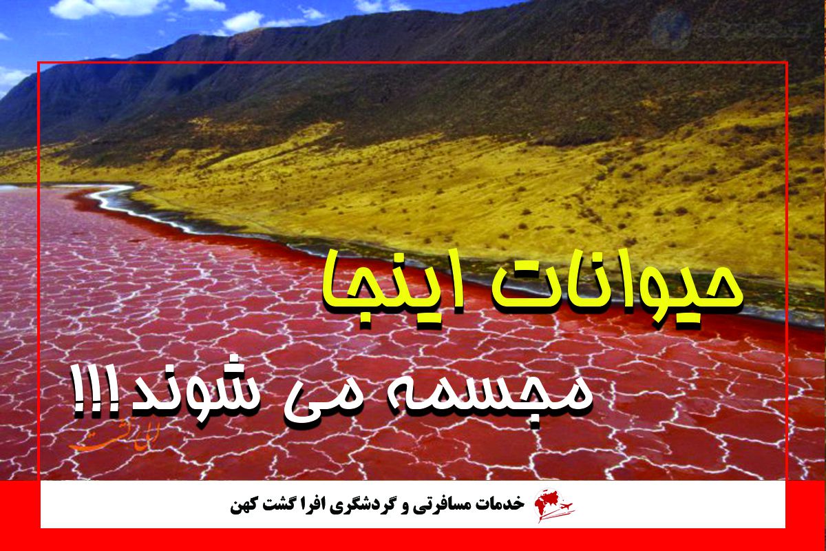 دریاچه ناترون تانزانیا دریاچه ناترون تانزانیا