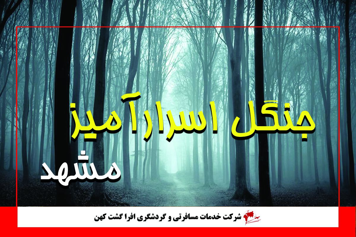 جنگل جیغ مشهد کجاست؟ جنگل جیغ مشهد کجاست؟